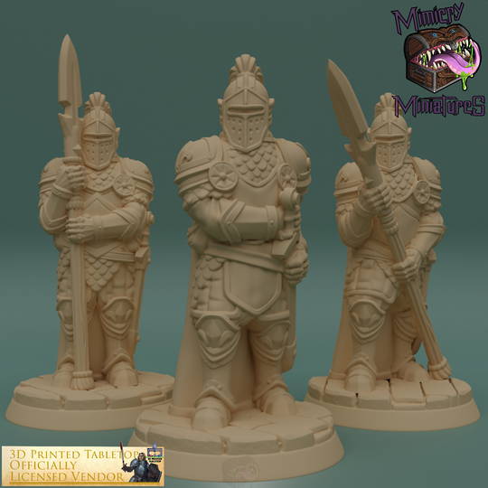 Royal Guards - The Lost Adventures by 3D Printed Tabletop